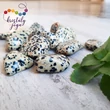 Dalmata jáspis közepes marokkő